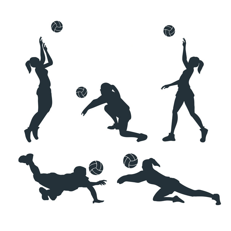 Union Sportive Volley Chamalière